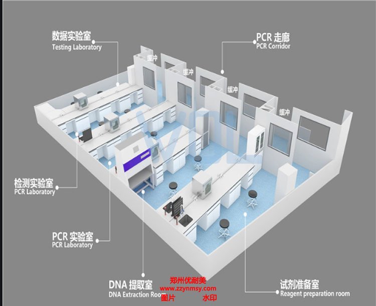 PCR實驗室建設規劃